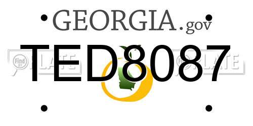 TED8087 Georgia License Plate