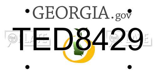 TED8429 Georgia License Plate