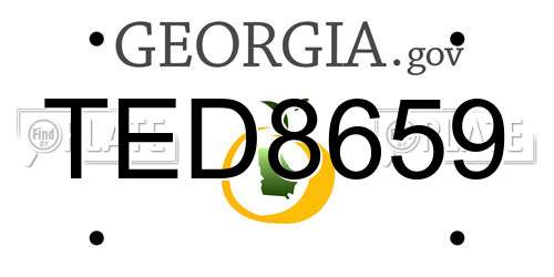 TED8659 Georgia License Plate