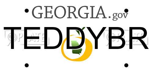 TEDDYBR Georgia License Plate