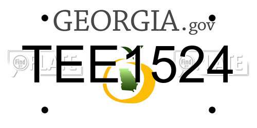 TEE1524 Georgia License Plate