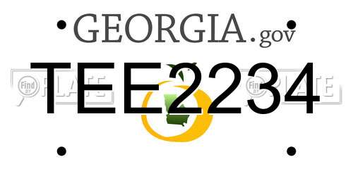 TEE2234 Georgia License Plate