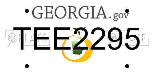 TEE2295 Georgia License Plate