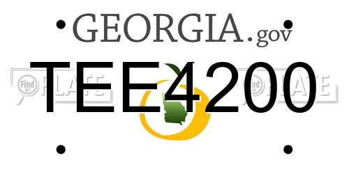 TEE4200 Georgia License Plate