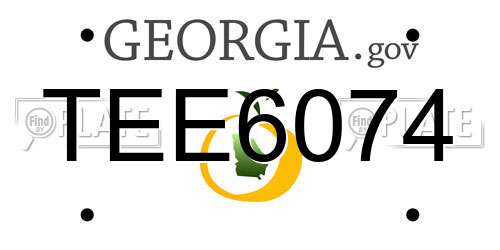 TEE6074 Georgia License Plate