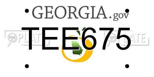 TEE675 Georgia License Plate