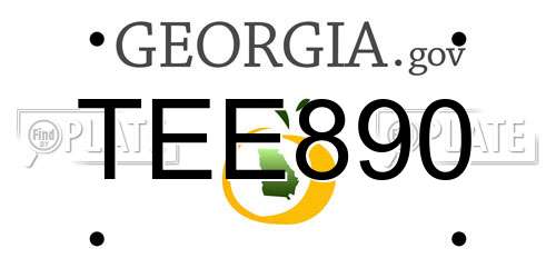 TEE890 Georgia License Plate