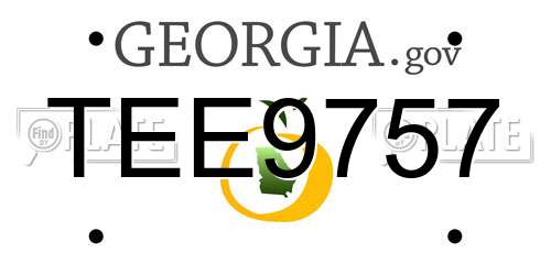 TEE9757 Georgia License Plate