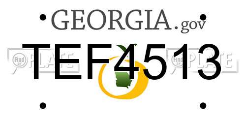 TEF4513 Georgia License Plate