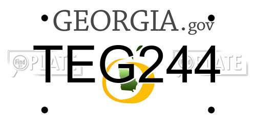 TEG244 Georgia License Plate