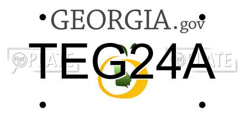 TEG24A Georgia License Plate