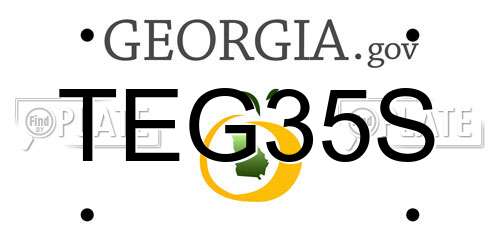 TEG35S Georgia License Plate