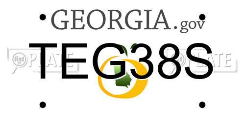 TEG38S Georgia License Plate