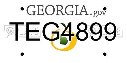 TEG4899 Georgia License Plate