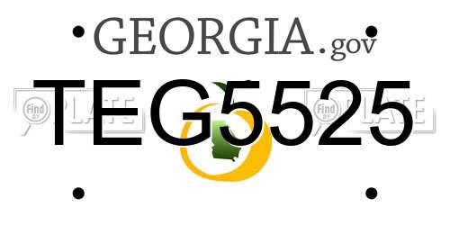 TEG5525 Georgia License Plate