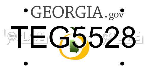 TEG5528 Georgia License Plate