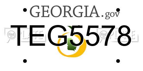 TEG5578 Georgia License Plate