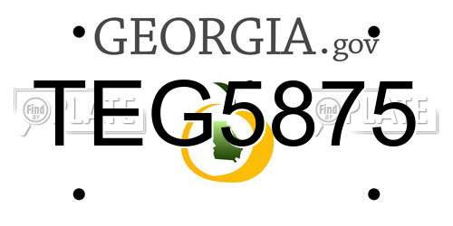 TEG5875 Georgia License Plate