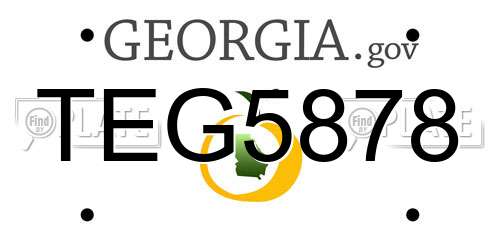 TEG5878 Georgia License Plate