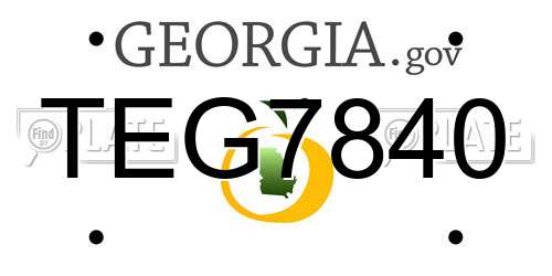 TEG7840 Georgia License Plate