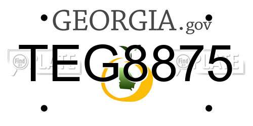 TEG8875 Georgia License Plate