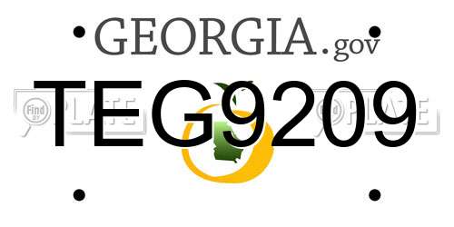 TEG9209 Georgia License Plate