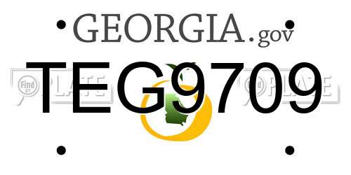 TEG9709 Georgia License Plate