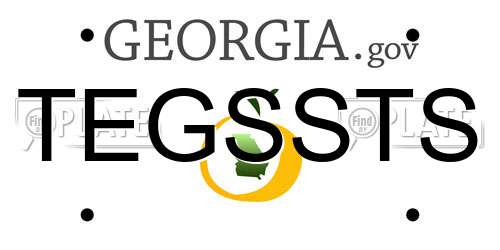 TEGSSTS Georgia License Plate