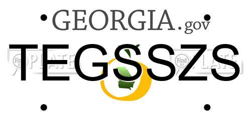 TEGSSZS Georgia License Plate