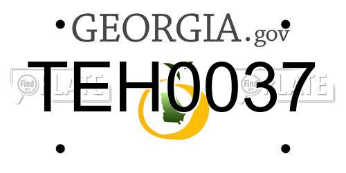 TEH0037 Georgia License Plate