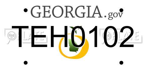 TEH0102 Georgia License Plate