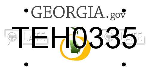 TEH0335 Georgia License Plate
