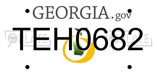 TEH0682 Georgia License Plate