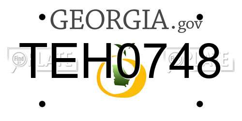 TEH0748 Georgia License Plate