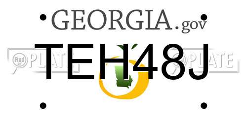 TEH48J Georgia License Plate