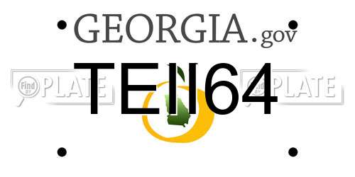 TEII64 Georgia License Plate