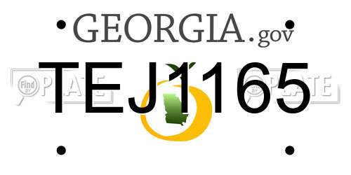 TEJ1165 Georgia License Plate