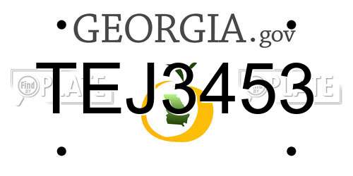 TEJ3453 Georgia License Plate