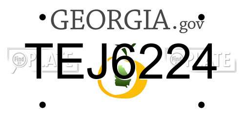 TEJ6224 Georgia License Plate