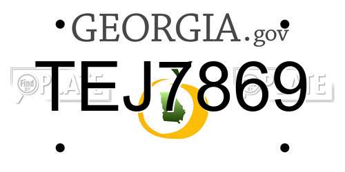 TEJ7869 Georgia License Plate