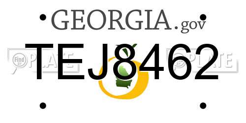 TEJ8462 Georgia License Plate