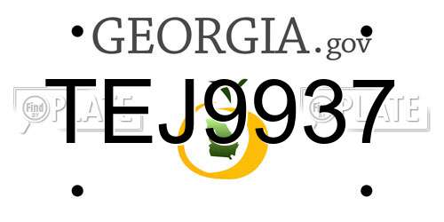 TEJ9937 Georgia License Plate