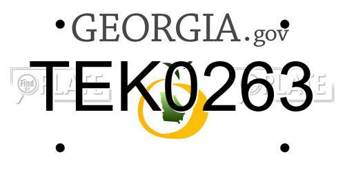 TEK0263 Georgia License Plate