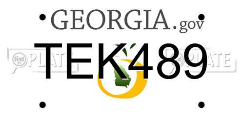 TEK489 Georgia License Plate