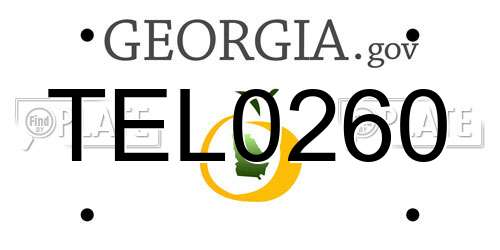 TEL0260 Georgia License Plate