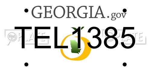 TEL1385 Georgia License Plate