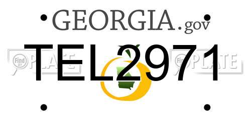 TEL2971 Georgia License Plate