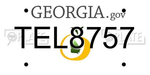 TEL8757 Georgia License Plate