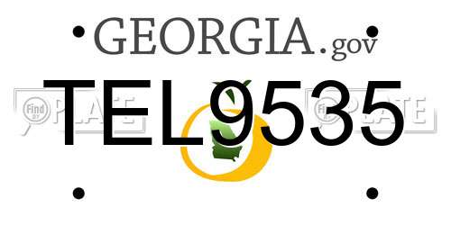 TEL9535 Georgia License Plate