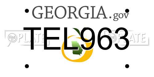 TEL963 Georgia License Plate